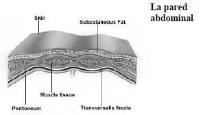 Suturas