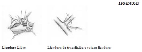 Suturas Suturas